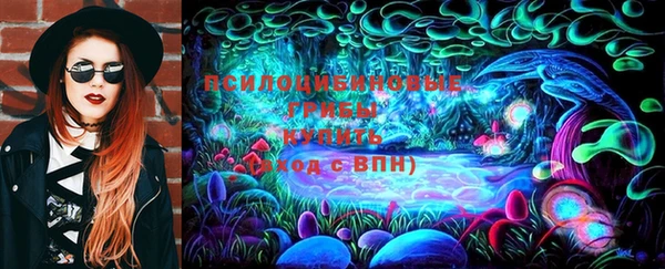 спайс Алексин