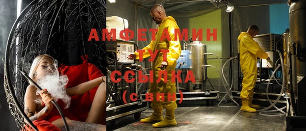 молекула духа Алексеевка
