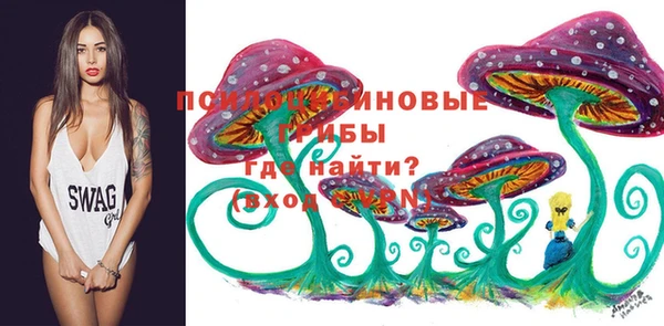 молекула духа Алексеевка